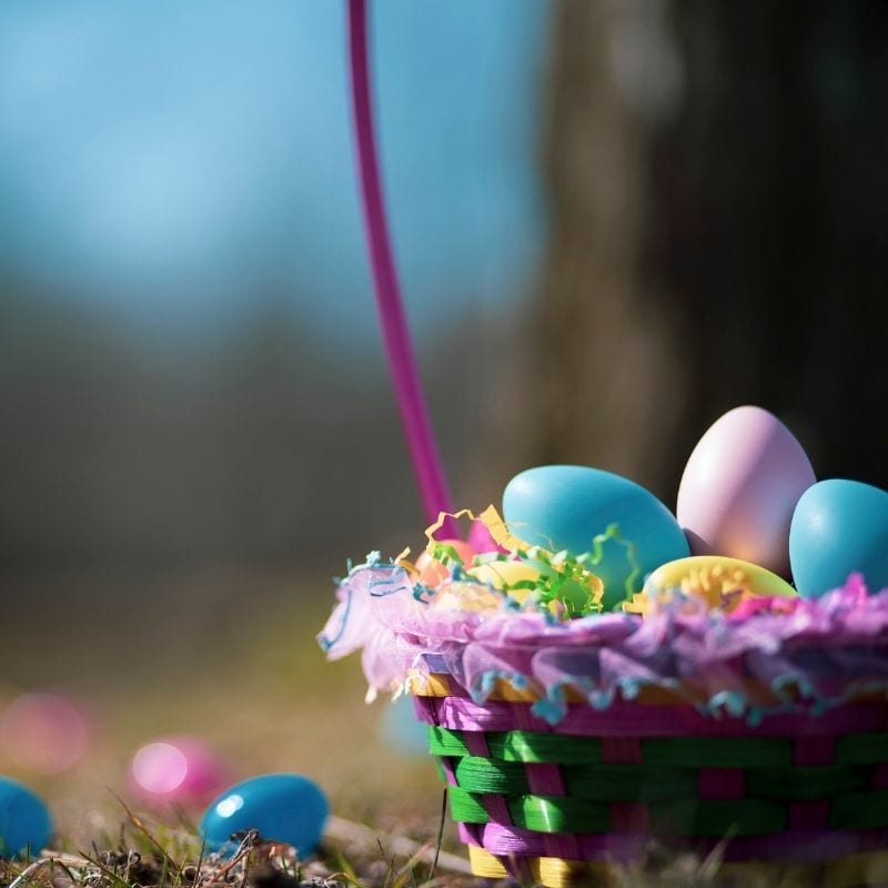 Easter Egg Hunt 2024 - Sunnymount Farm